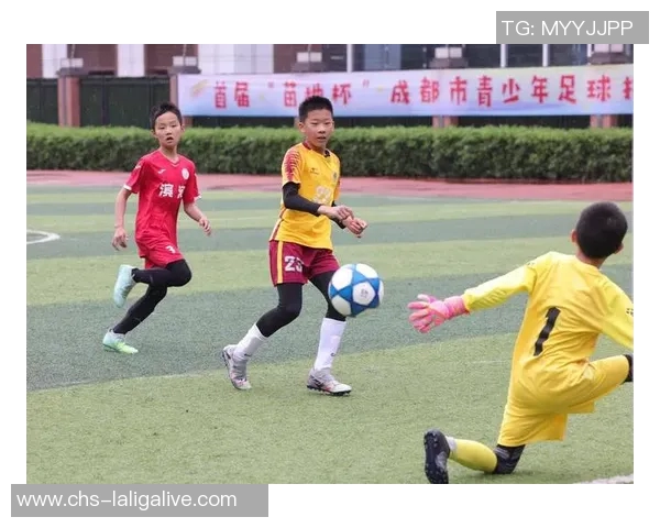 校园青春活力四射学生们在绿茵场上尽情踢足球展现风采